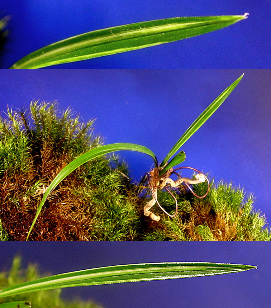 ������ ū������ �� �� �ֽ��ϴ�.