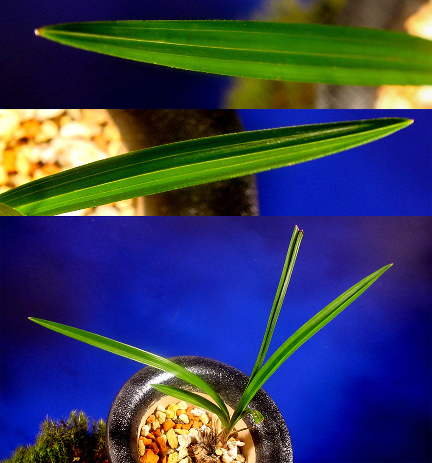 ������ ū������ �� �� �ֽ��ϴ�.