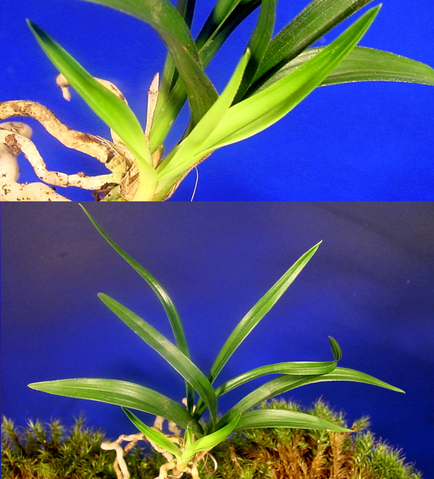 ������ ū������ �� �� �ֽ��ϴ�.