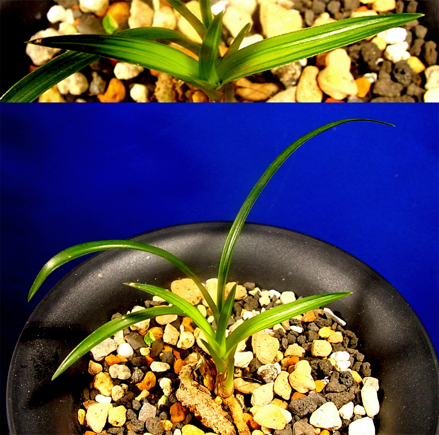 ������ ū������ �� �� �ֽ��ϴ�.