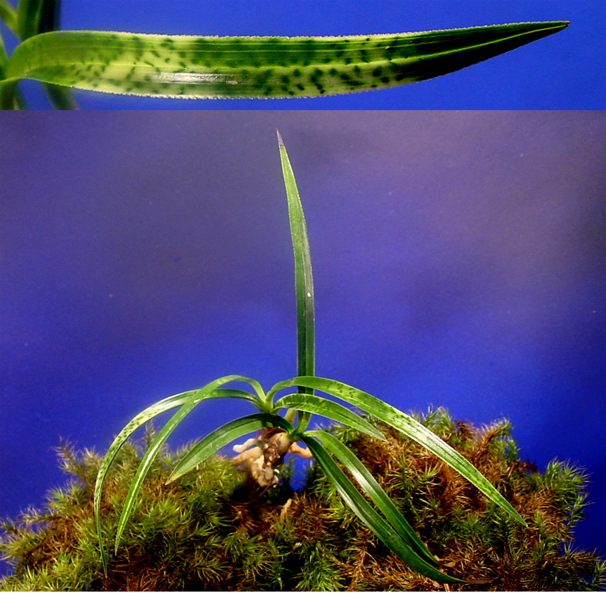 ������ ū������ �� �� �ֽ��ϴ�.