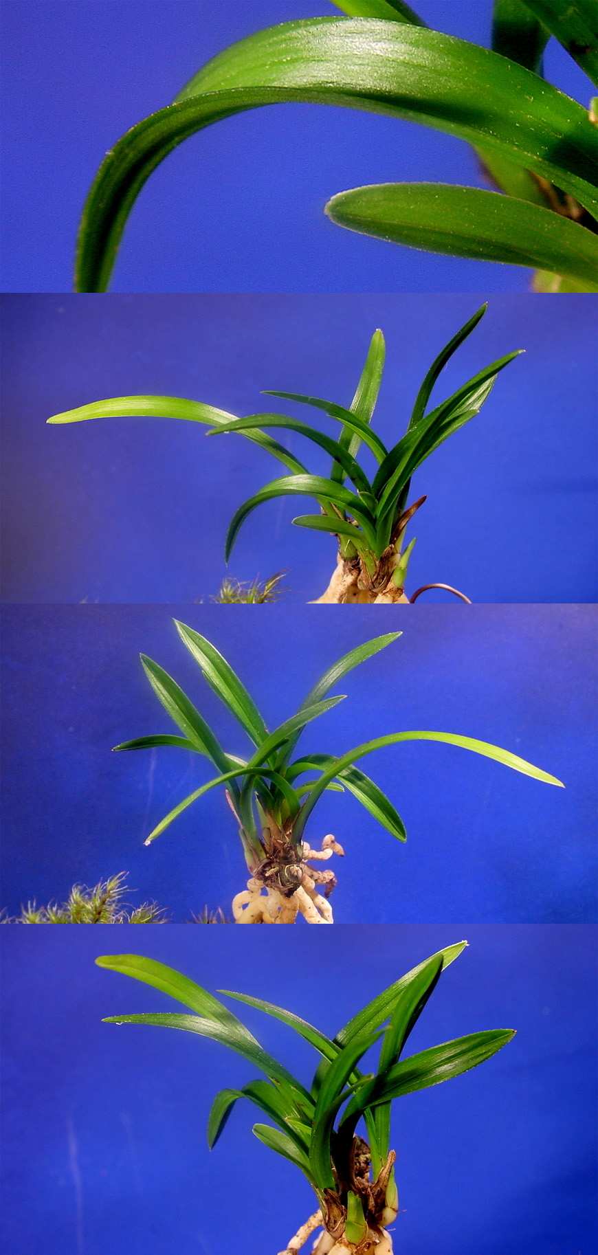 ������ ū������ �� �� �ֽ��ϴ�.