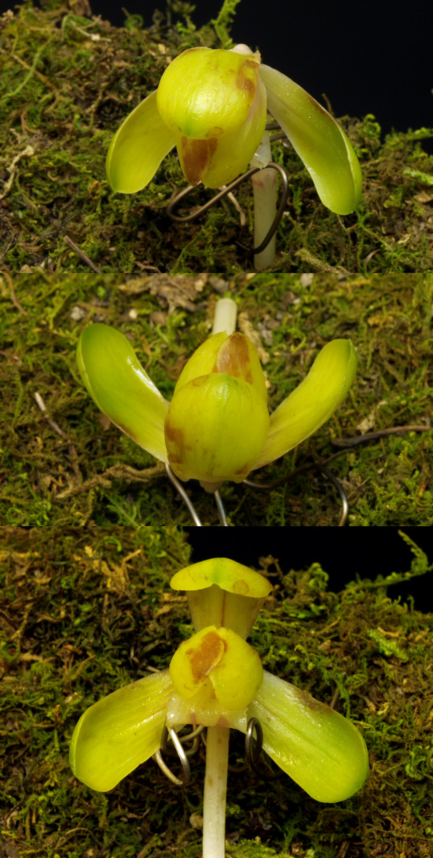 ������ ū������ �� �� �ֽ��ϴ�.