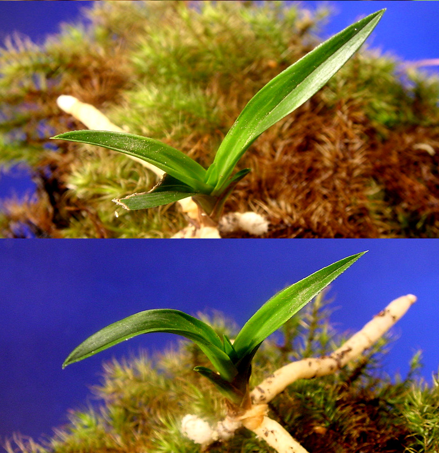 ������ ū������ �� �� �ֽ��ϴ�.