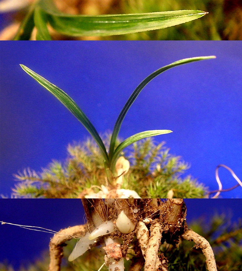 ������ ū������ �� �� �ֽ��ϴ�.