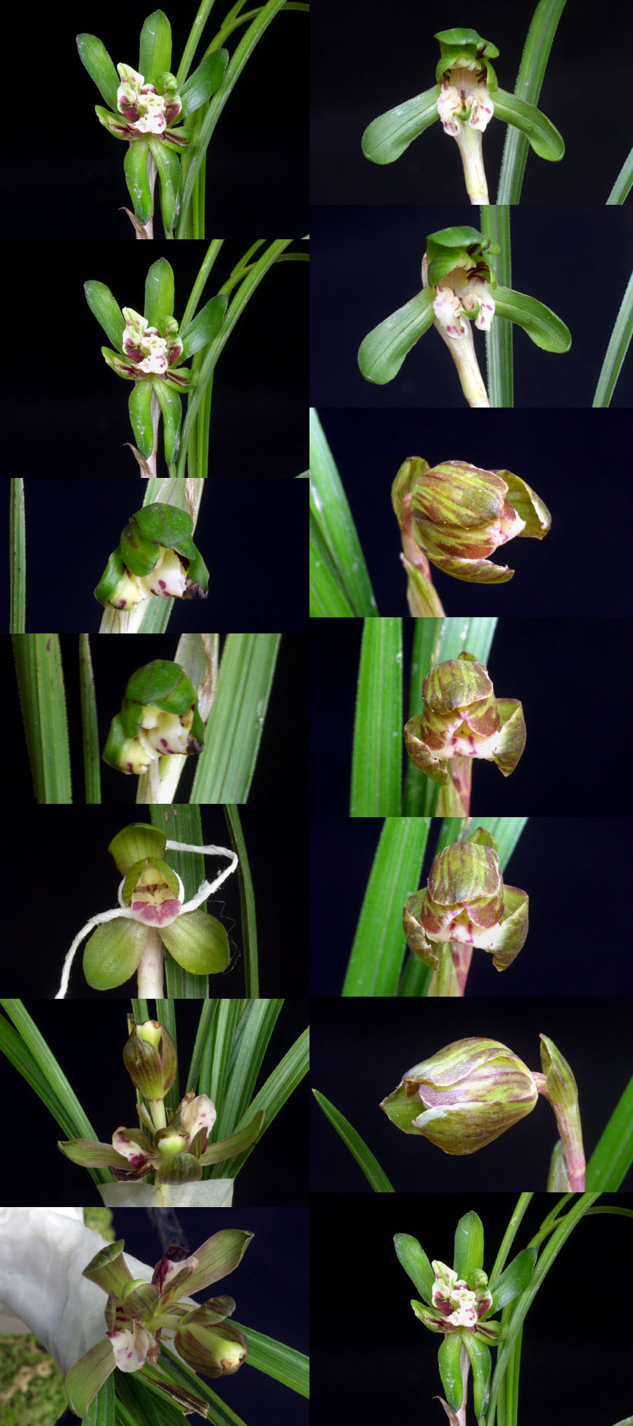 ������ ū������ �� �� �ֽ��ϴ�.