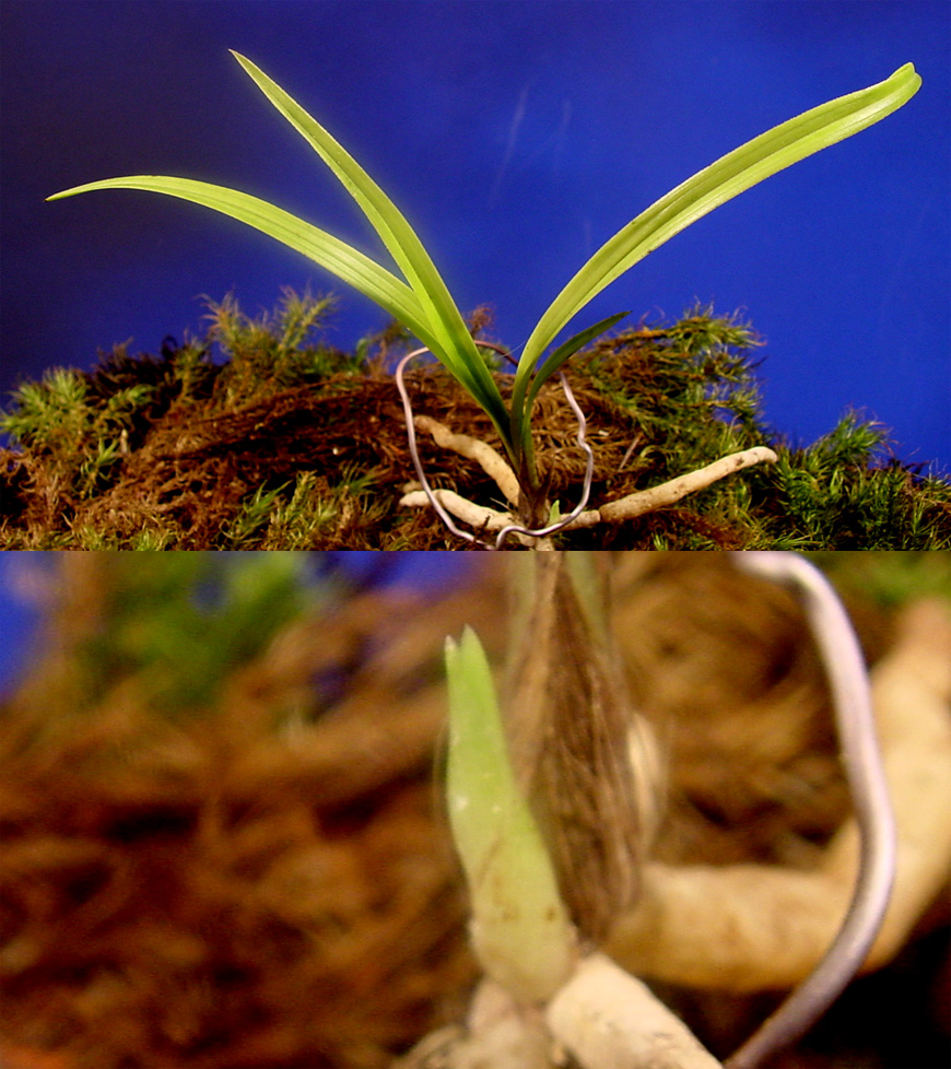 ������ ū������ �� �� �ֽ��ϴ�.