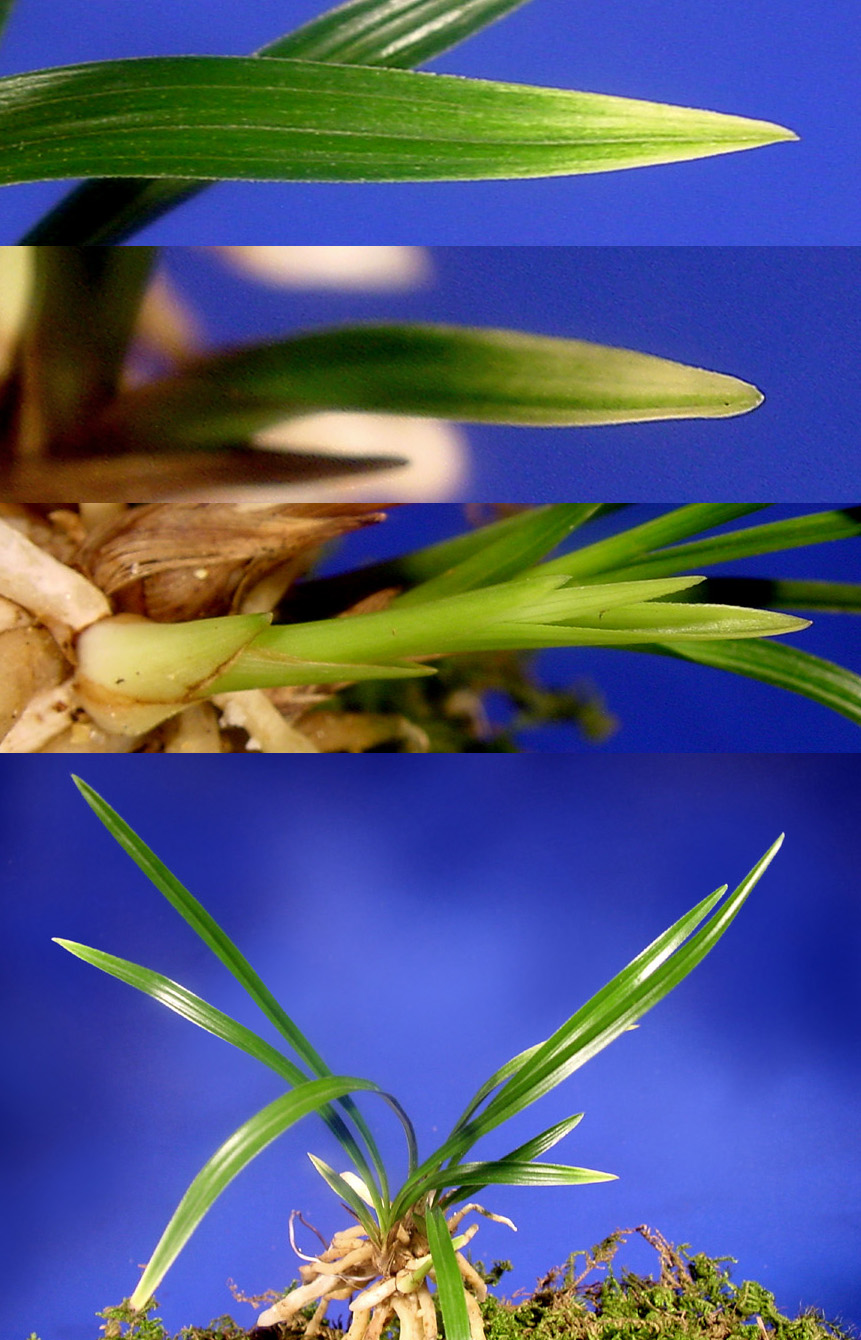 ������ ū������ �� �� �ֽ��ϴ�.