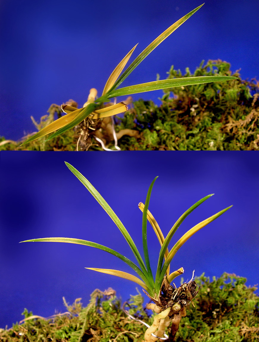 ������ ū������ �� �� �ֽ��ϴ�.