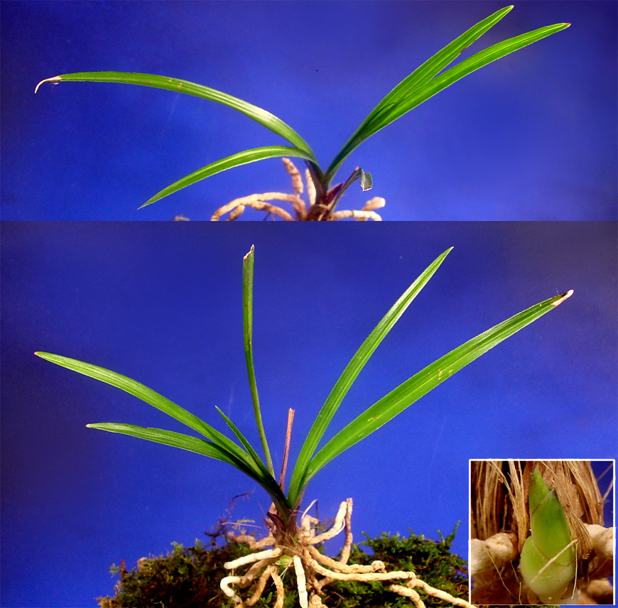 ������ ū������ �� �� �ֽ��ϴ�.