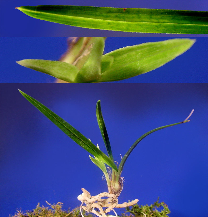 ������ ū������ �� �� �ֽ��ϴ�.