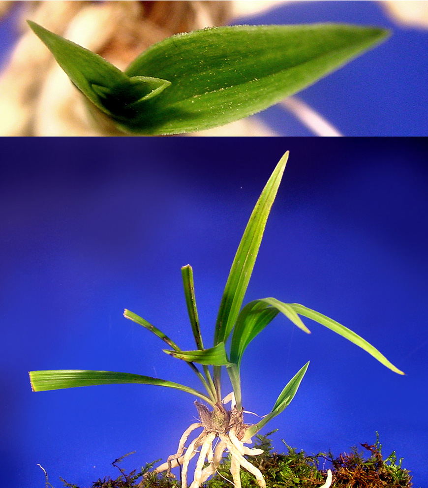 ������ ū������ �� �� �ֽ��ϴ�.