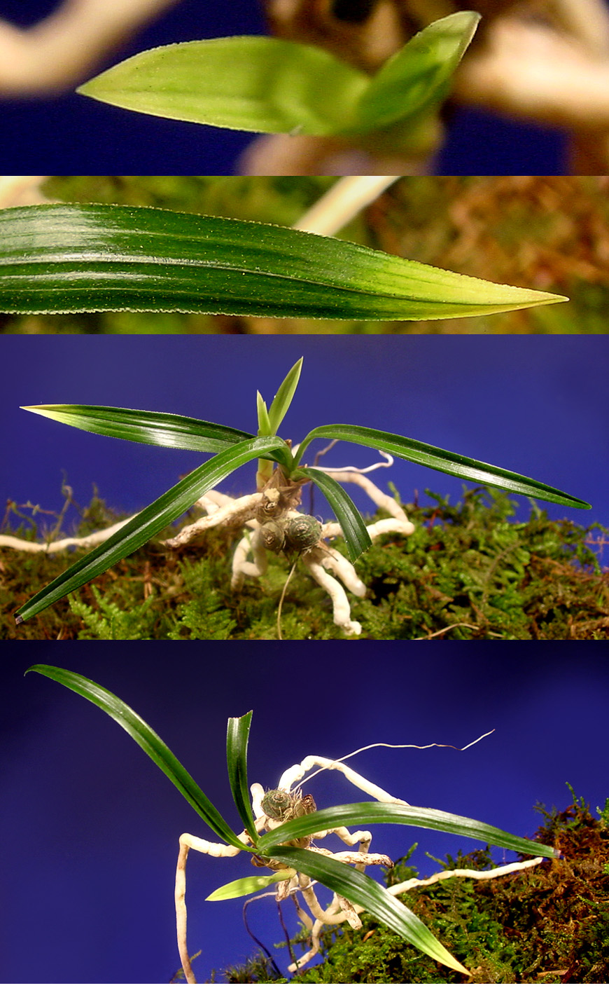 ������ ū������ �� �� �ֽ��ϴ�.