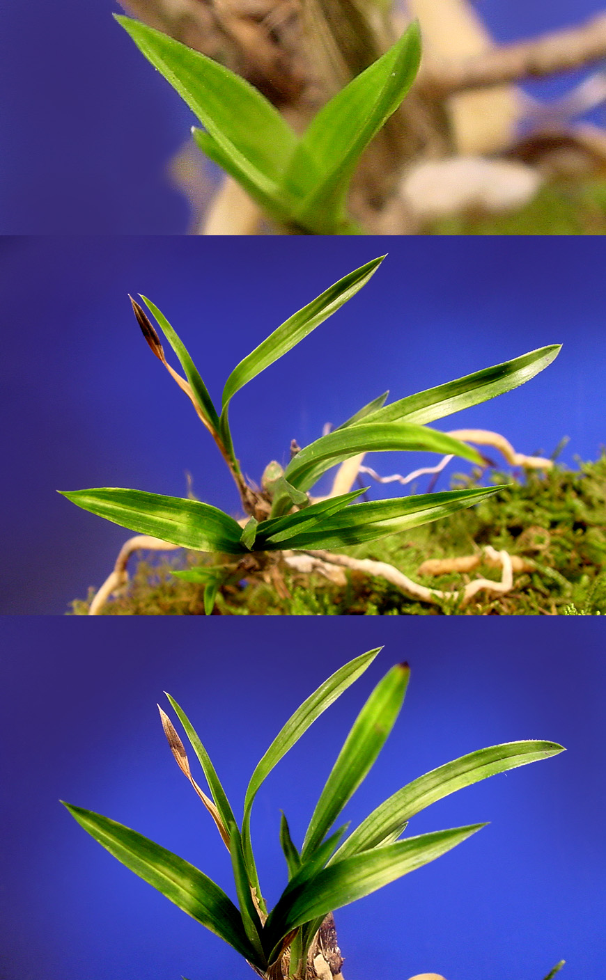 ������ ū������ �� �� �ֽ��ϴ�.