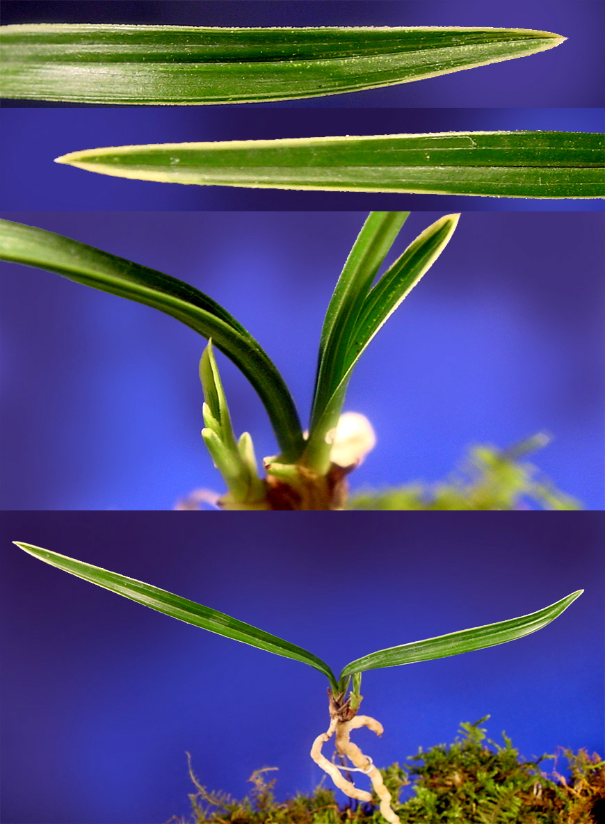 ������ ū������ �� �� �ֽ��ϴ�.