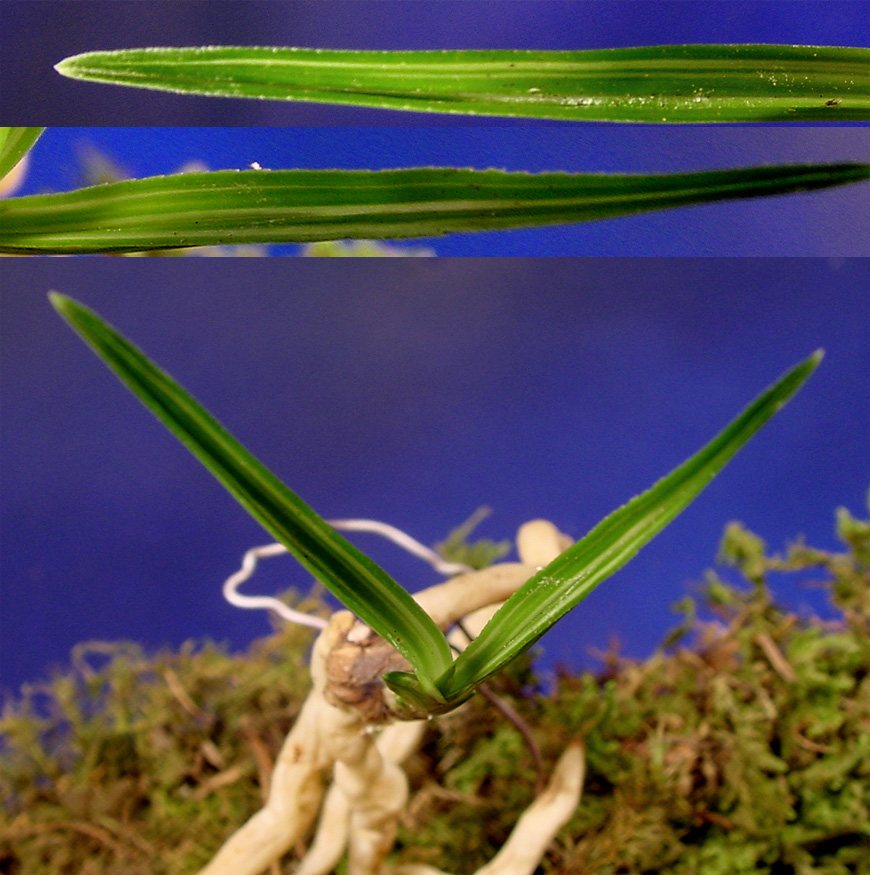 ������ ū������ �� �� �ֽ��ϴ�.