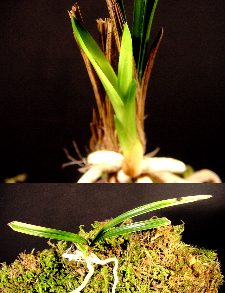 ������ ū������ �� �� �ֽ��ϴ�.