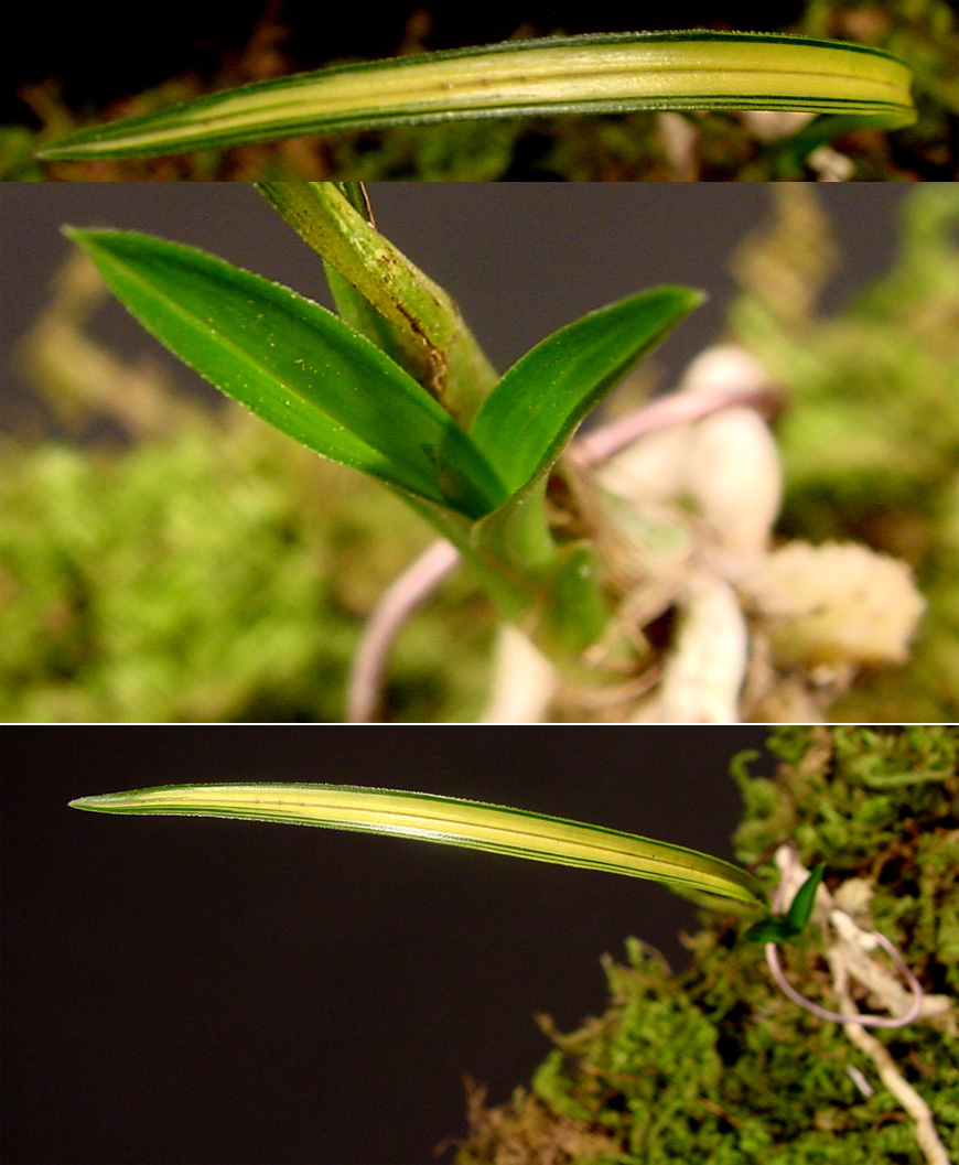 ������ ū������ �� �� �ֽ��ϴ�.