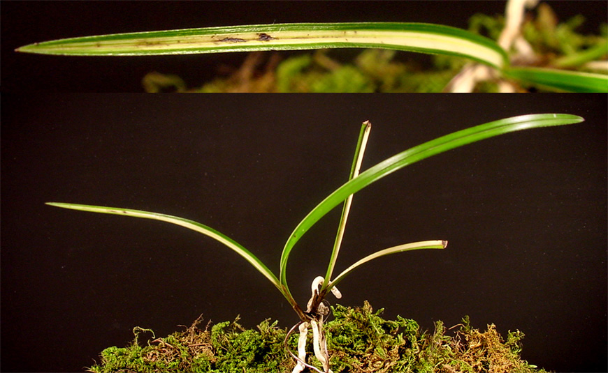 ������ ū������ �� �� �ֽ��ϴ�.