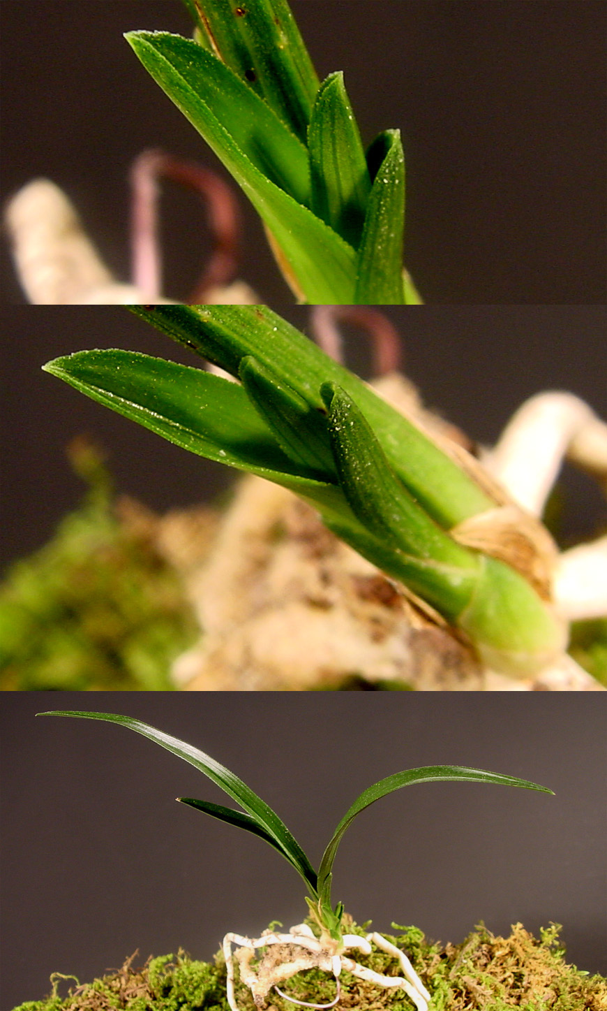 ������ ū������ �� �� �ֽ��ϴ�.