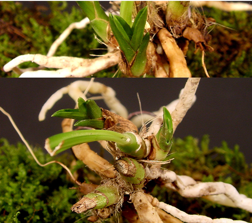 ������ ū������ �� �� �ֽ��ϴ�.