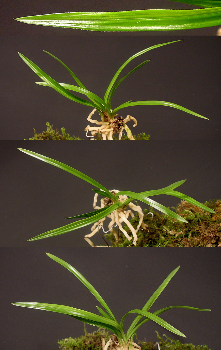 ������ ū������ �� �� �ֽ��ϴ�.