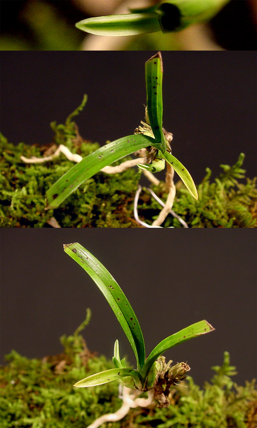 ������ ū������ �� �� �ֽ��ϴ�.