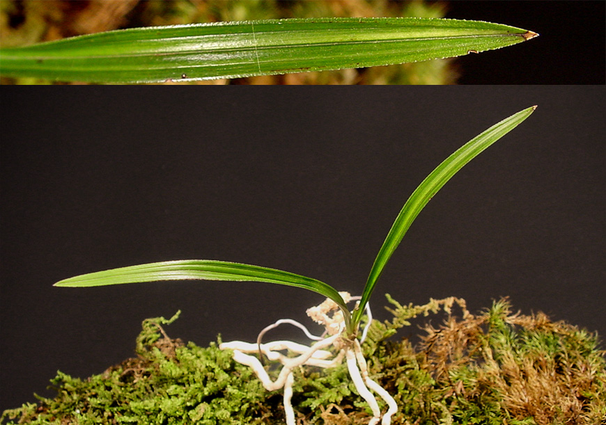 ������ ū������ �� �� �ֽ��ϴ�.