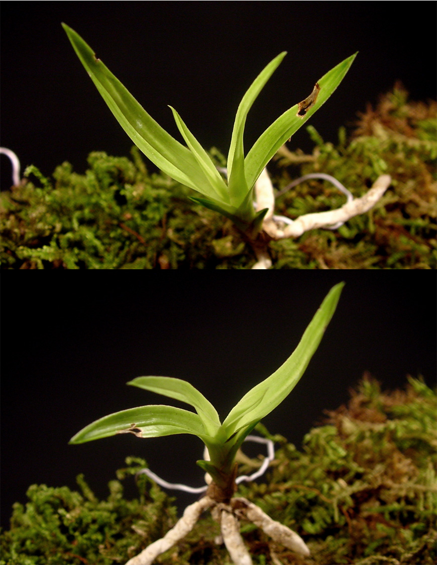 ������ ū������ �� �� �ֽ��ϴ�.