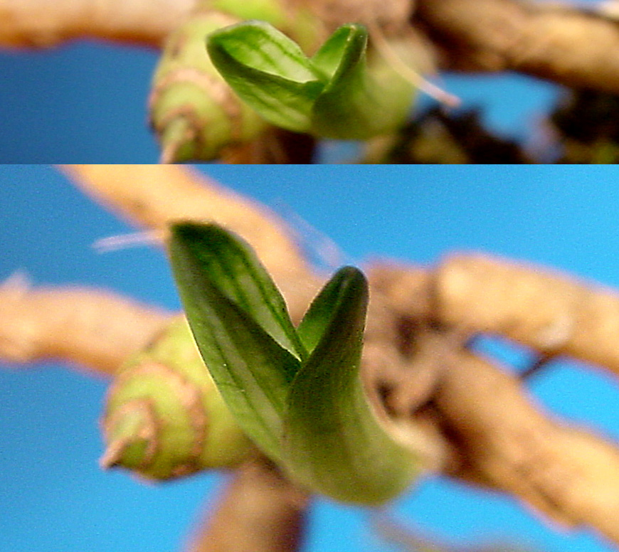 ������ ū������ �� �� �ֽ��ϴ�.