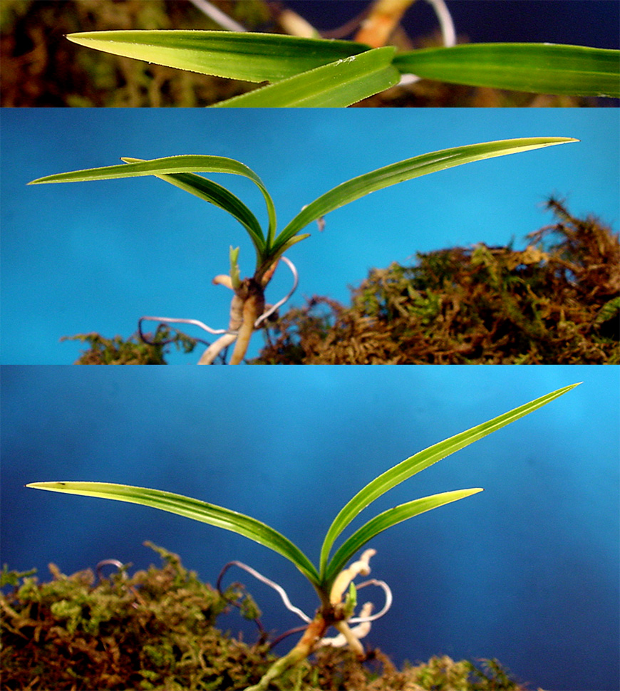 ������ ū������ �� �� �ֽ��ϴ�.