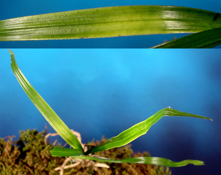 ������ ū������ �� �� �ֽ��ϴ�.