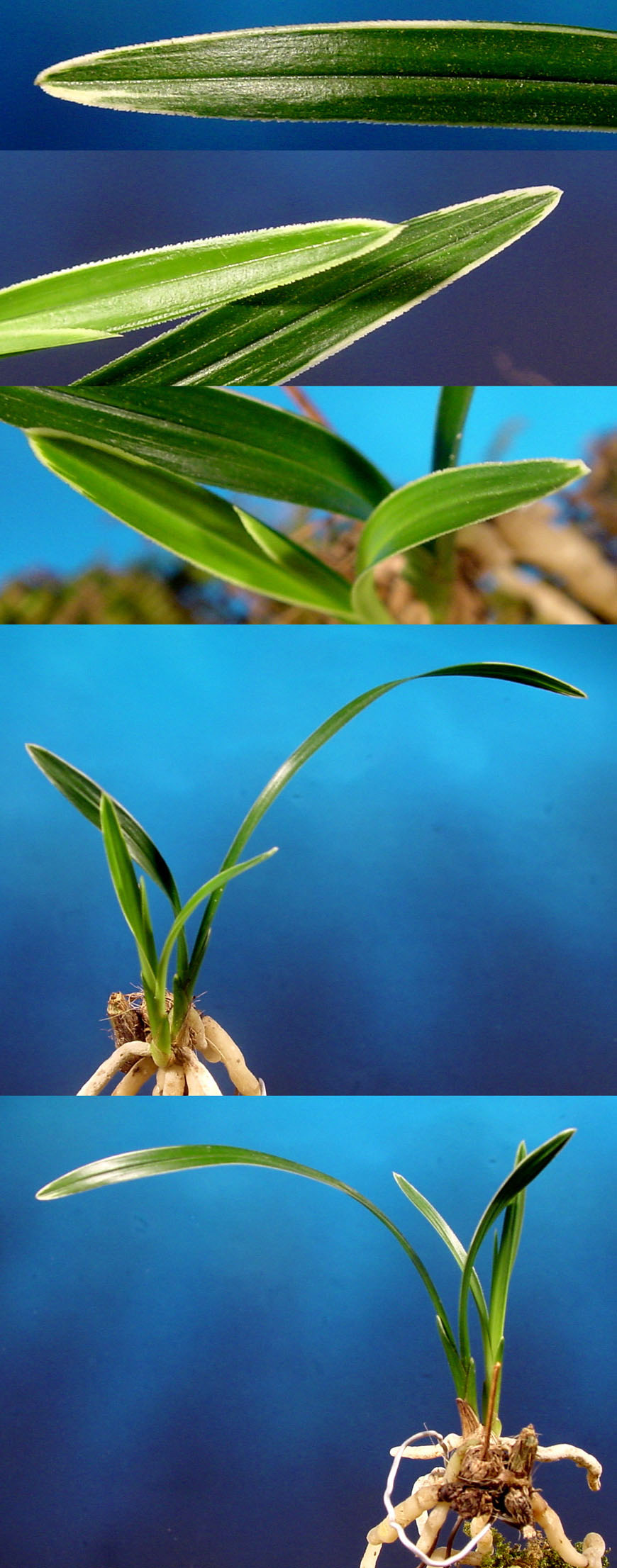 ������ ū������ �� �� �ֽ��ϴ�.