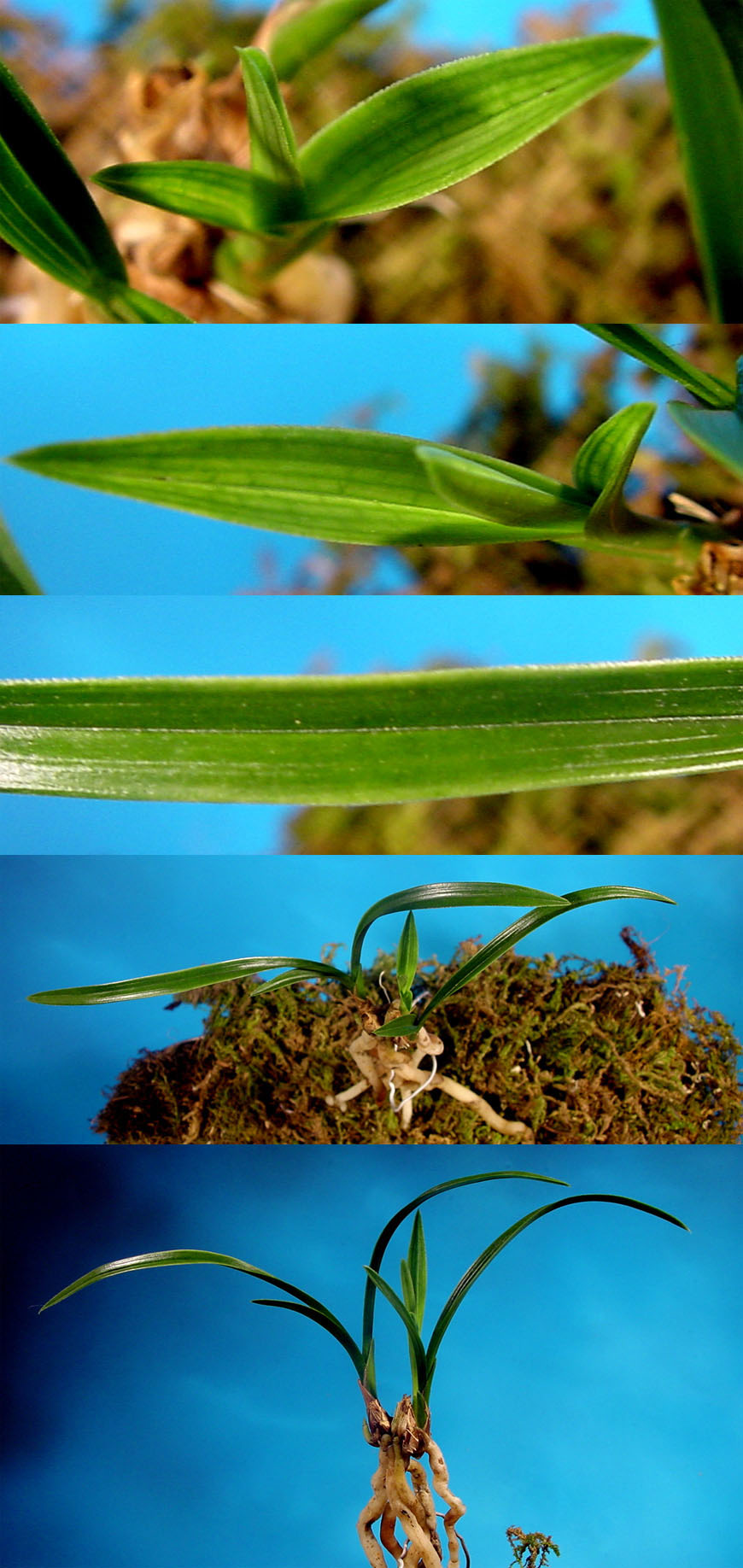 ������ ū������ �� �� �ֽ��ϴ�.