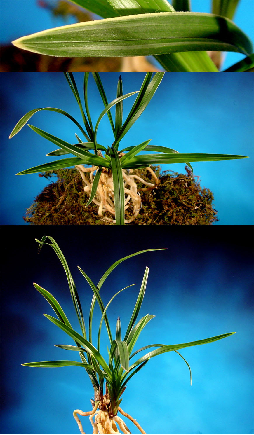 ������ ū������ �� �� �ֽ��ϴ�.