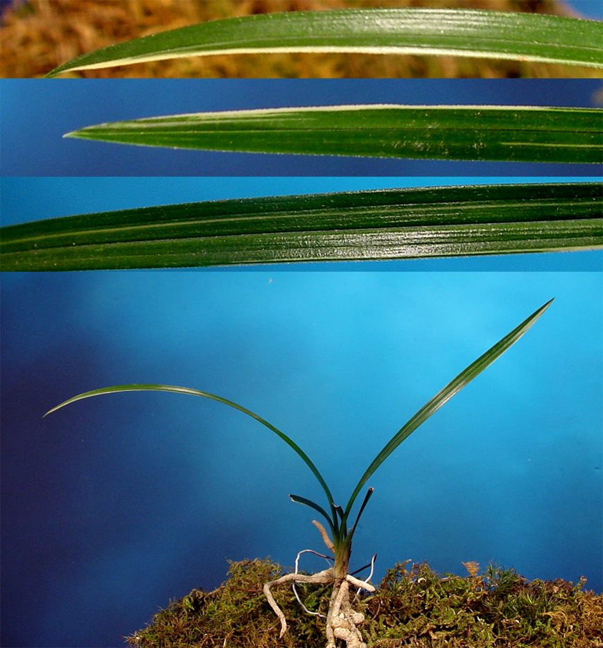 ������ ū������ �� �� �ֽ��ϴ�.