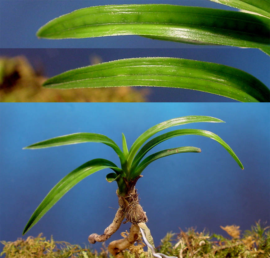 ������ ū������ �� �� �ֽ��ϴ�.