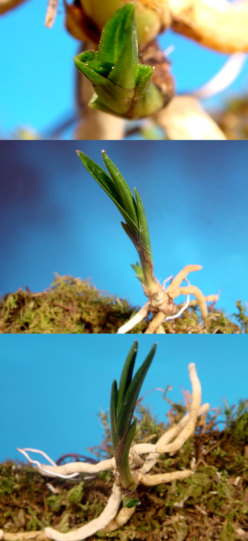 ������ ū������ �� �� �ֽ��ϴ�.