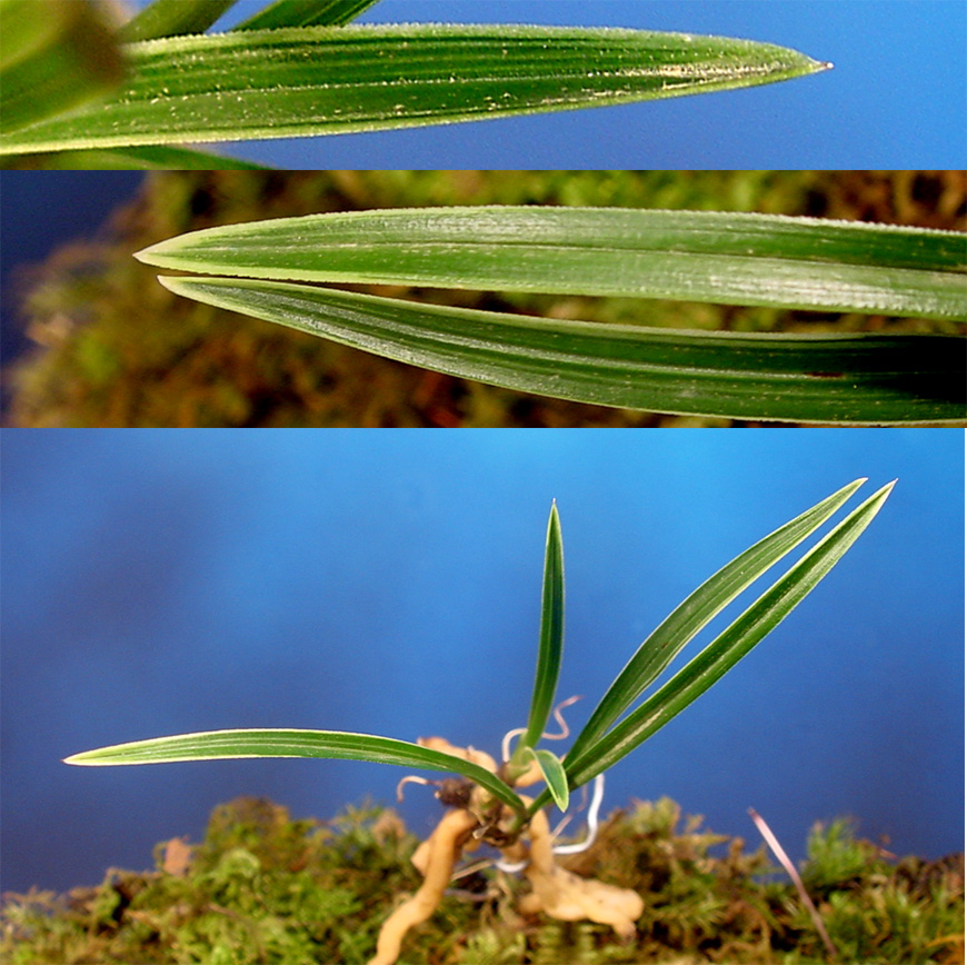 ������ ū������ �� �� �ֽ��ϴ�.