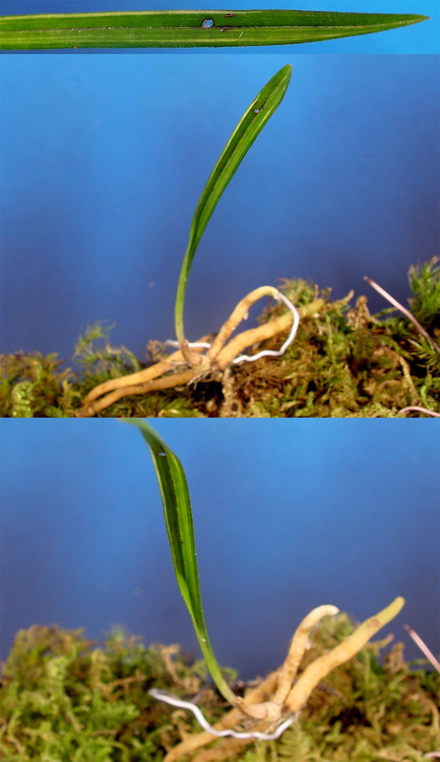 ������ ū������ �� �� �ֽ��ϴ�.