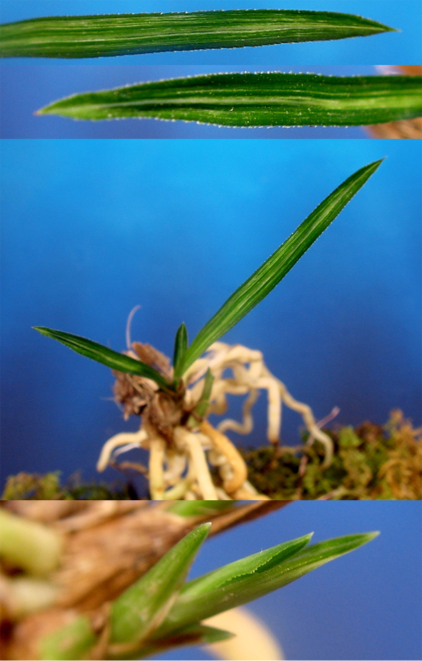 ������ ū������ �� �� �ֽ��ϴ�.