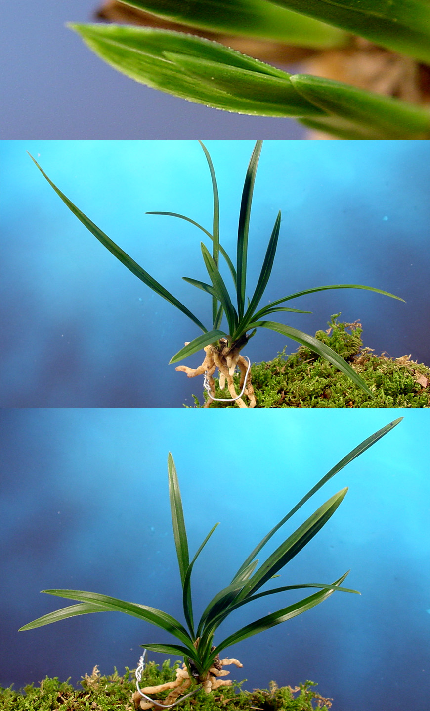 ������ ū������ �� �� �ֽ��ϴ�.