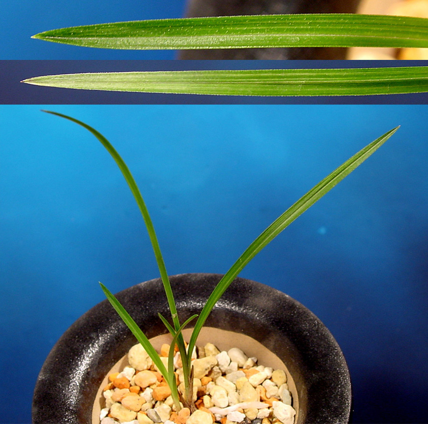 ������ ū������ �� �� �ֽ��ϴ�.