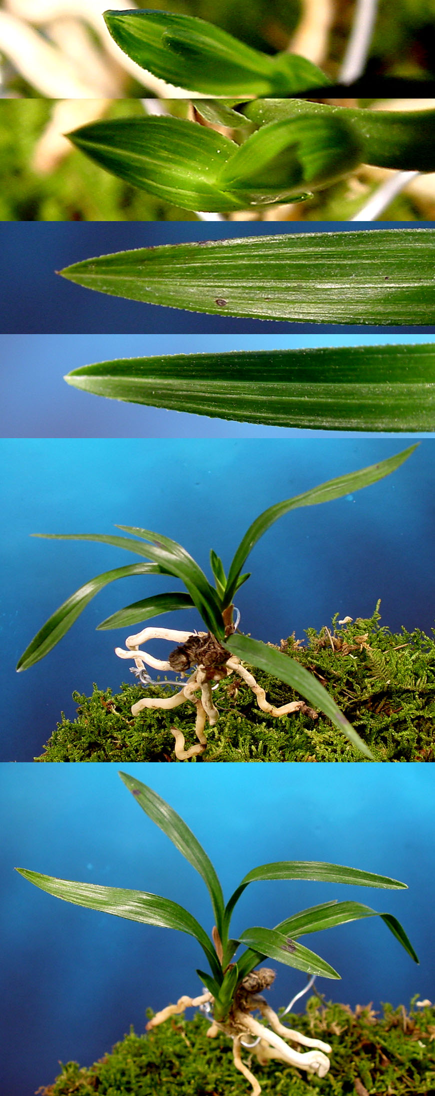 ������ ū������ �� �� �ֽ��ϴ�.