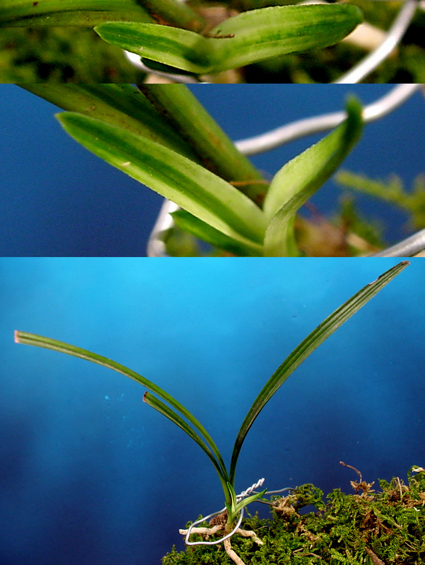 ������ ū������ �� �� �ֽ��ϴ�.