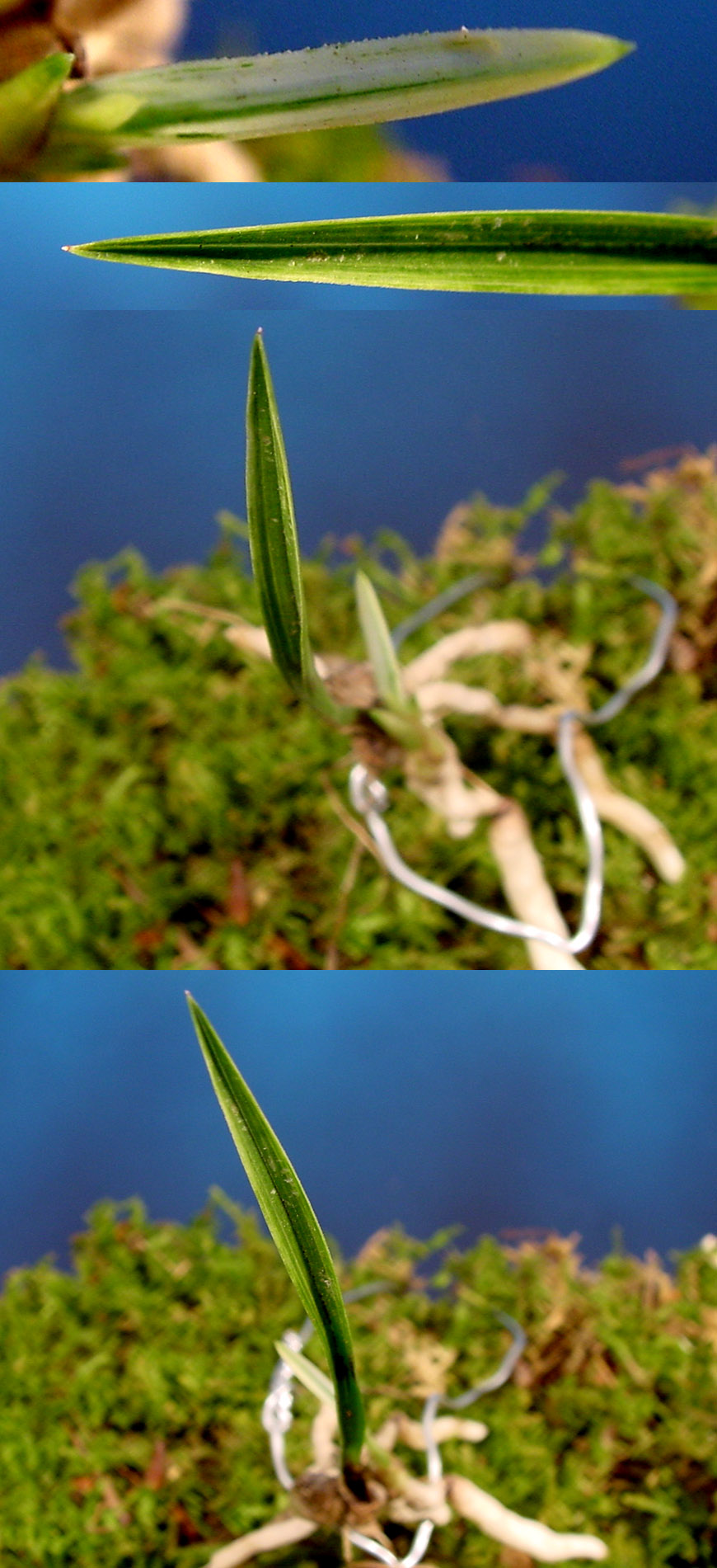 ������ ū������ �� �� �ֽ��ϴ�.