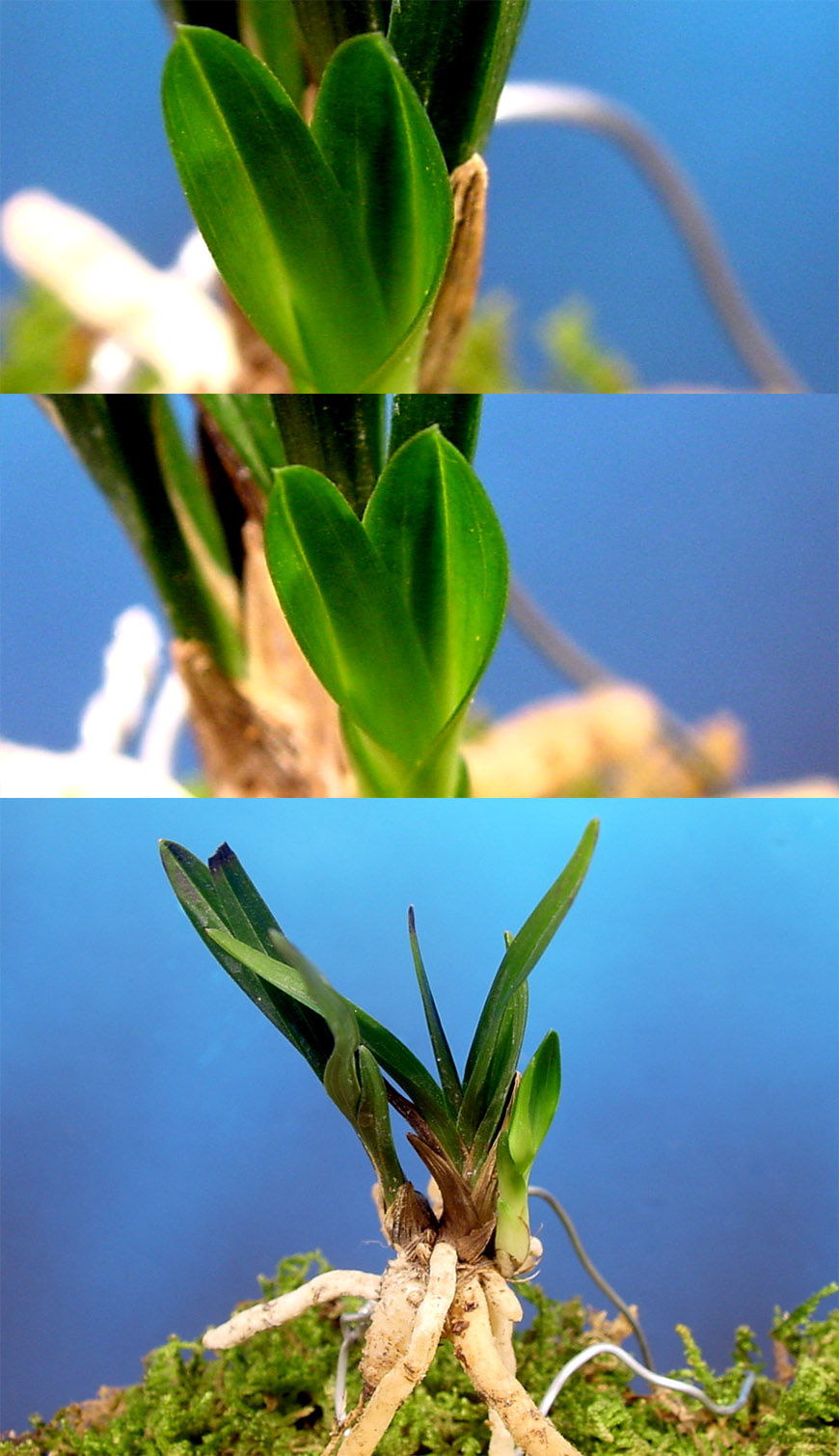 ������ ū������ �� �� �ֽ��ϴ�.