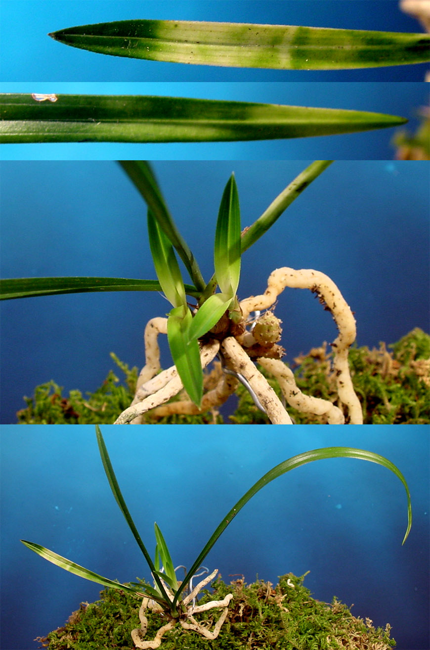 ������ ū������ �� �� �ֽ��ϴ�.