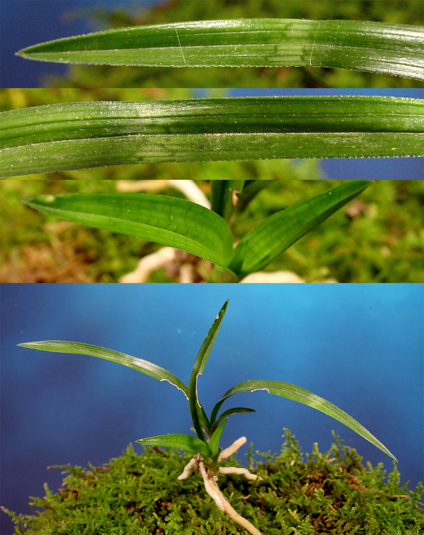 ������ ū������ �� �� �ֽ��ϴ�.