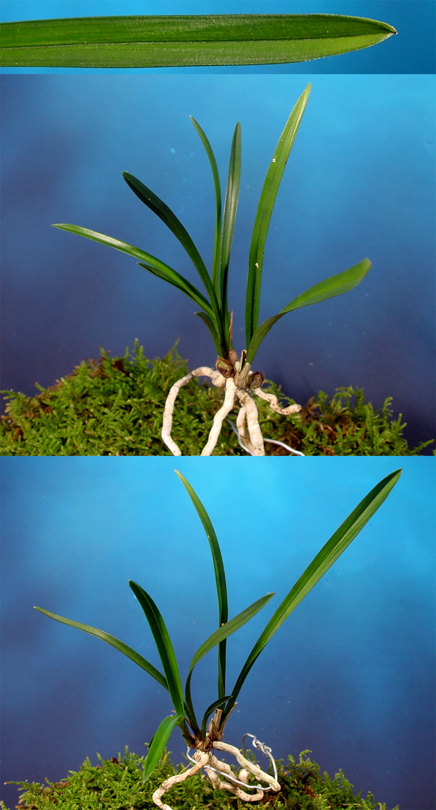 ������ ū������ �� �� �ֽ��ϴ�.